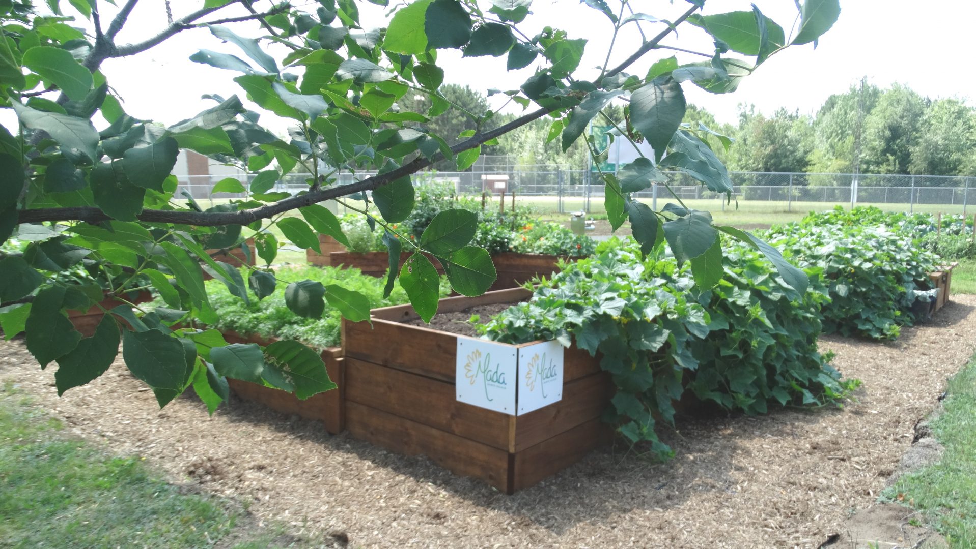 Communiqué Municipalité de SainteEulalie