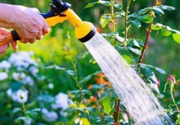 Une consommation responsable de l’eau potable, c’est important!