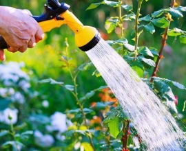 Une consommation responsable de l’eau potable, c’est important!
