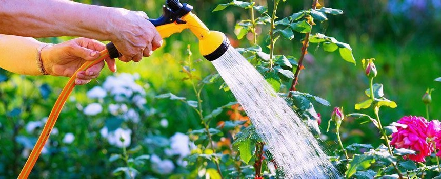 Une consommation responsable de l’eau potage, c’est important!