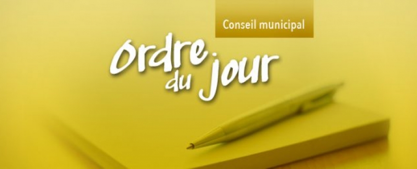 Ordre du jour – Séance extraordinaire du conseil, lundi le 7 décembre 2020