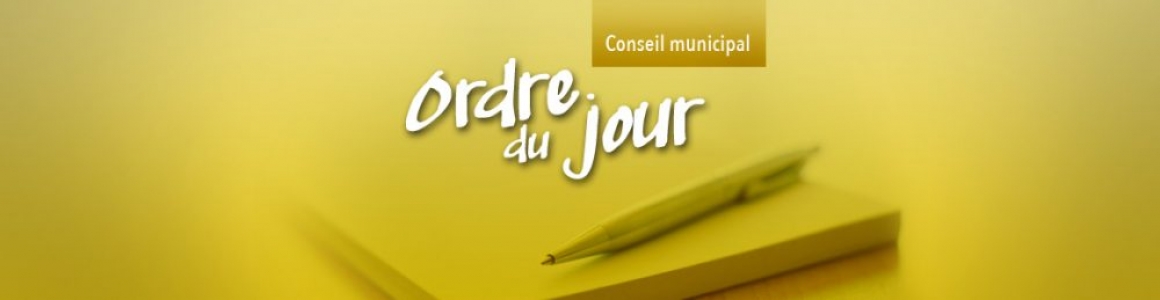 Ordre du jour séance du conseil d’adoption du budget 2020, lundi le 9 décembre 2019